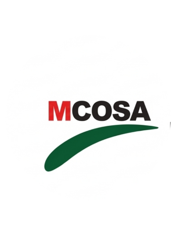 MCO Saudi Arabia Limited